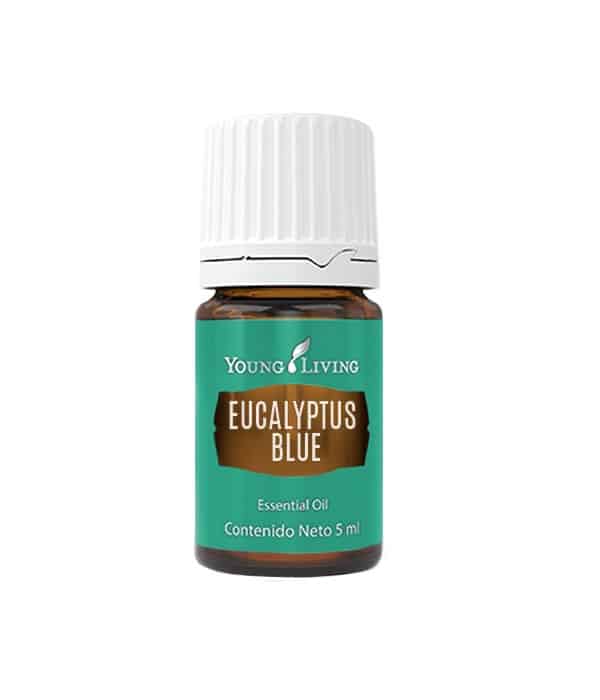 Aceite esencial de eucalipto azul (Eucalyptus Blue)