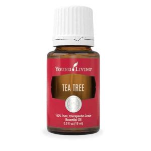 Aceite esencial árbol de té (Tea Tree)
